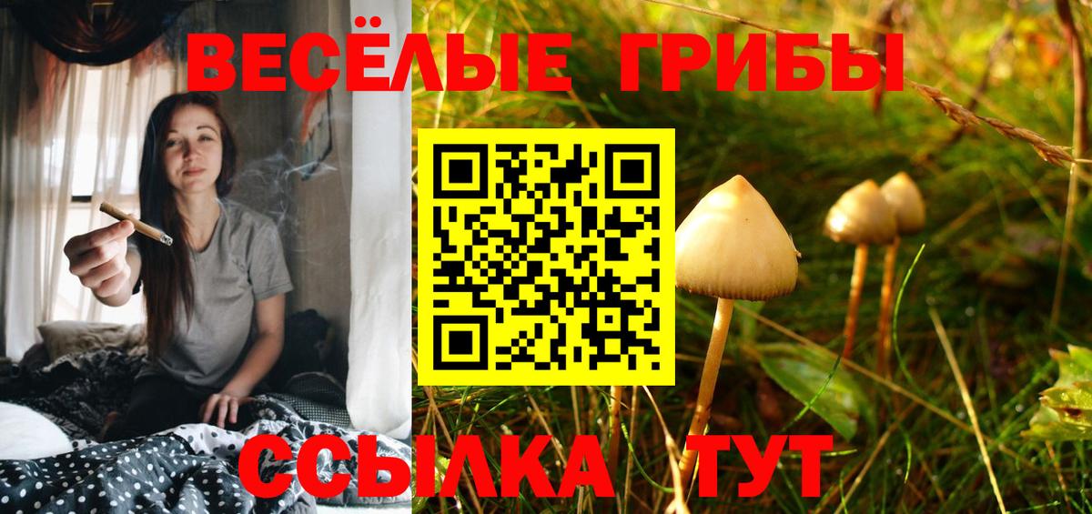 Псилоцибиновые грибы MAGIC MUSHROOMS Кимовск