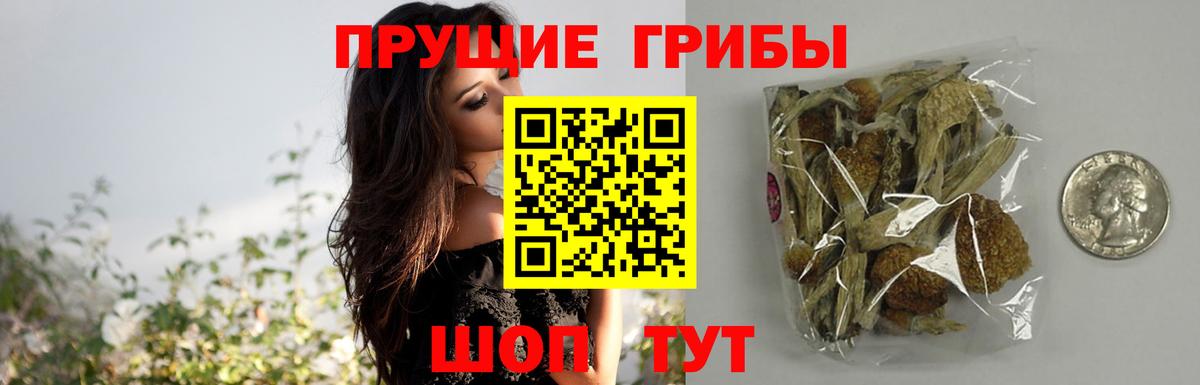 Кимовск  ГАШИШ  Alpha PVP СОЛЬ   Вход с VPN  МЕФ   Канабис  КОКАИН 